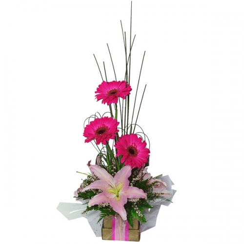 media/k2/items/cache/245effadf41c6129f4fe7accc564ef86_Generic.jpg