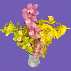 Kytice 3x cymbidium