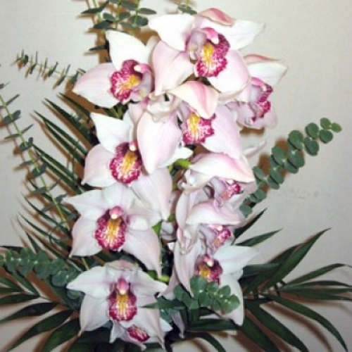 media/k2/items/cache/51a3864ed3ad604d2340c3f8fe249f94_Generic.jpg