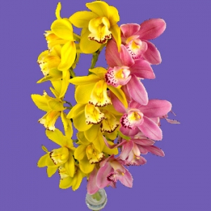 Kytice 2x cymbidium