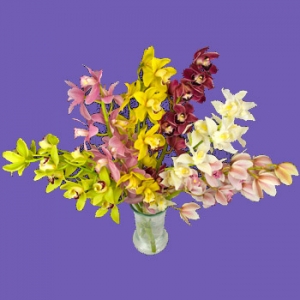 Kytice 6x cymbidium