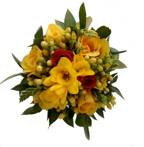 media/k2/items/cache/f7abac252ae5ed68121b92ba7a669d87_Generic.jpg